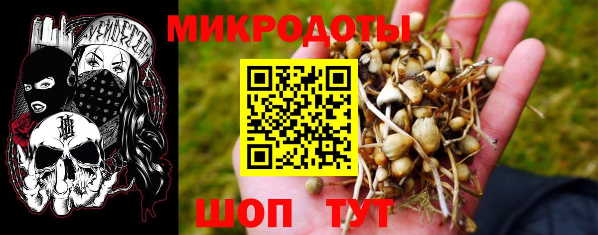 Псилоцибиновые грибы Psilocybe  Вход с VPN  Рославль 