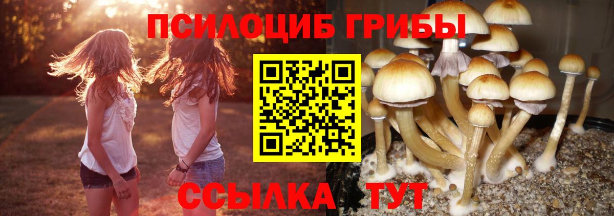 Галлюциногенные грибы Cubensis Рославль